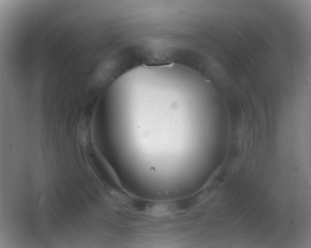 X0000062880129200601131318