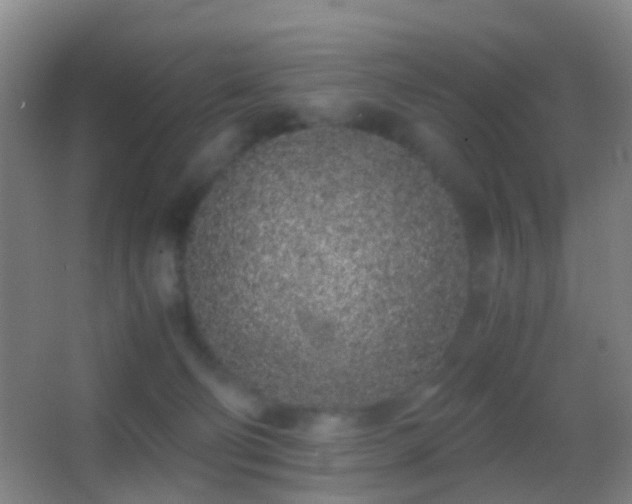X0000062880130200601131318