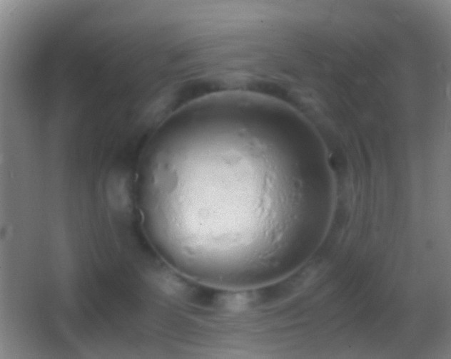 X0000062880131200601131318