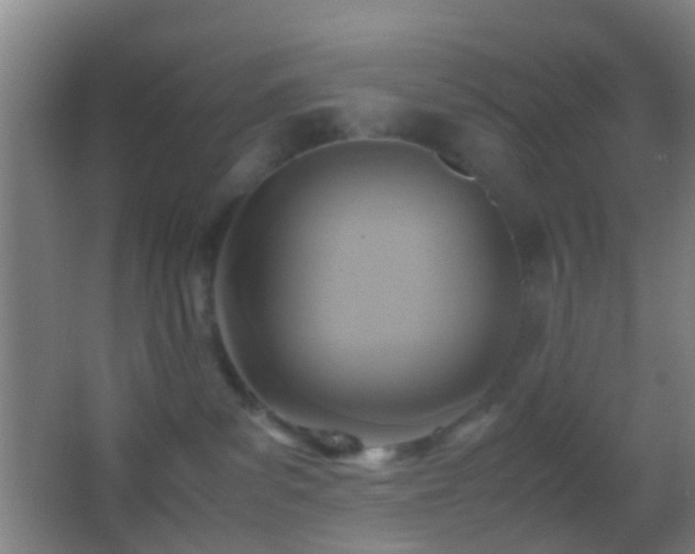 X0000062880139200601131318