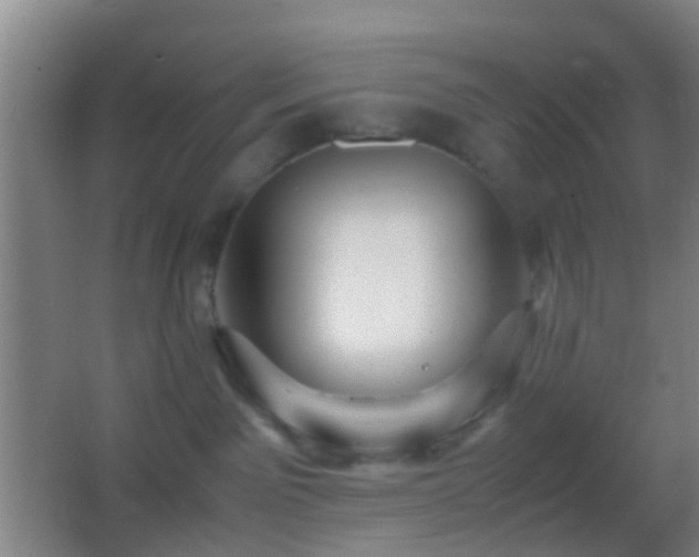 X0000062880141200601131318