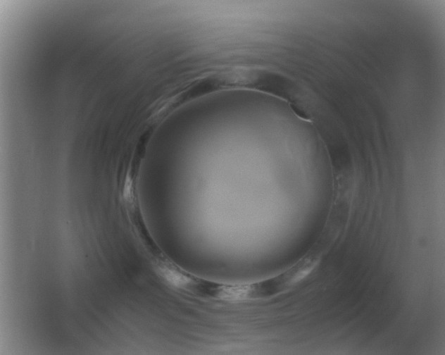 X0000062880143200601131318