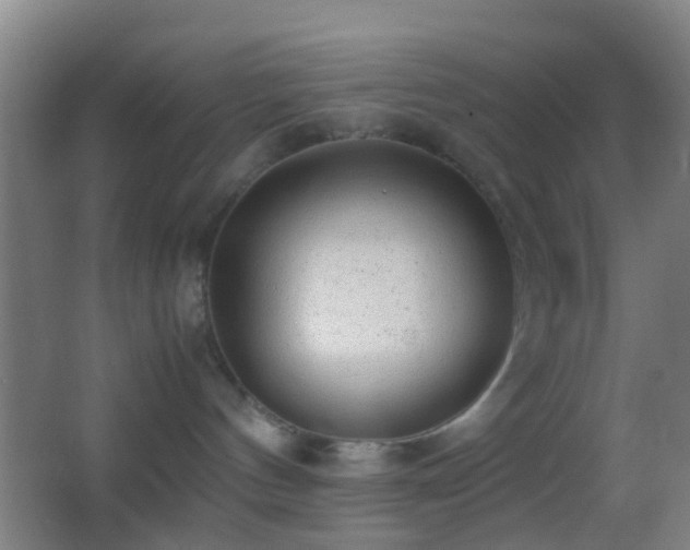 X0000062880144200601131318