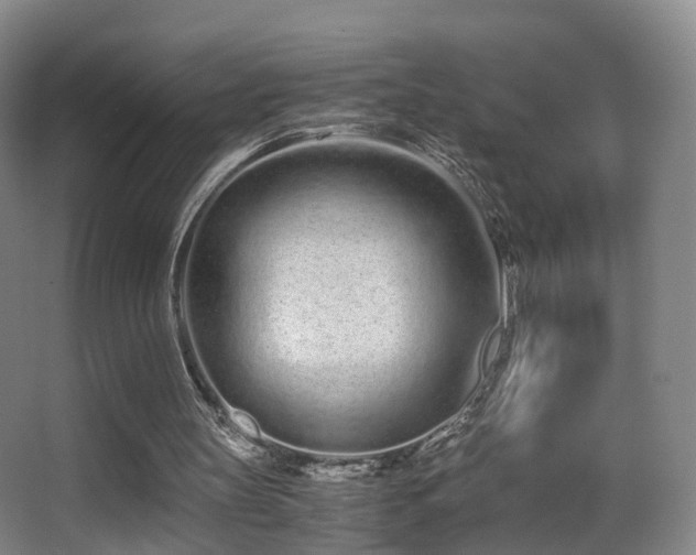 X0000062880147200601131317