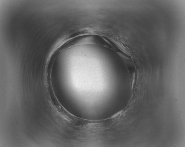X0000062880150200601131317