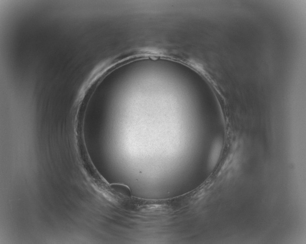 X0000062880151200601131317