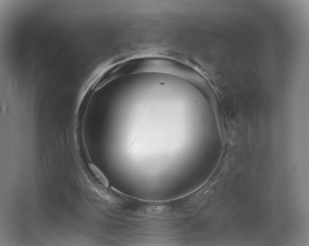 X0000062880152200601131317