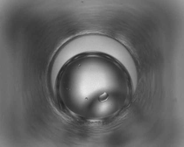 X0000062880156200601131317