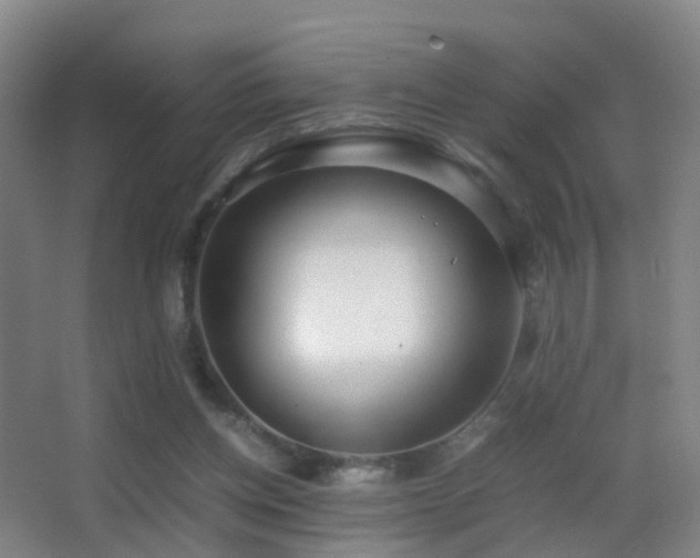 X0000062880158200601131317