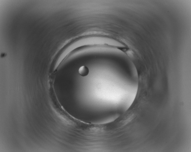 X0000062880160200601131318