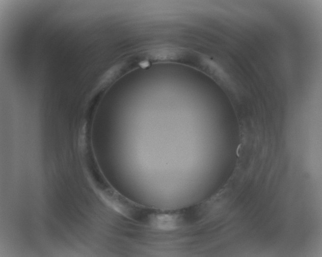 X0000062880163200601131318