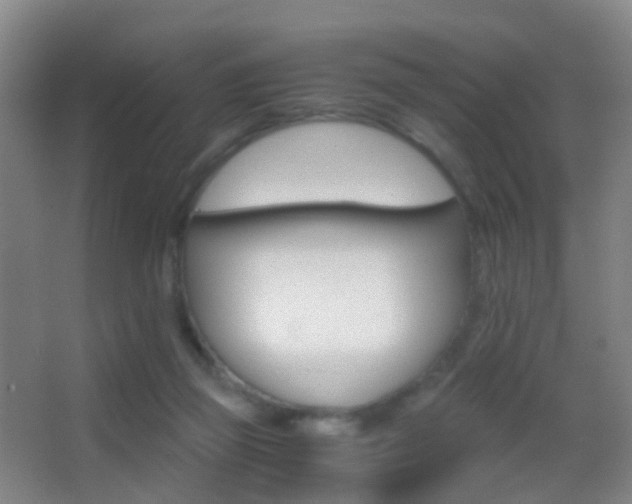 X0000062880165200601131318
