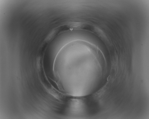 X0000062880167200601131318