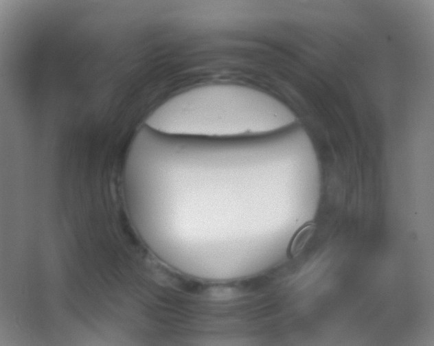X0000062880169200601131318