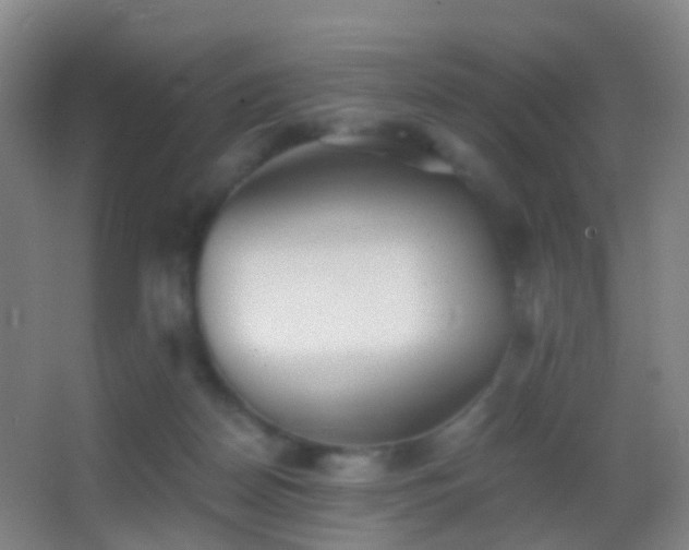 X0000062880170200601131318