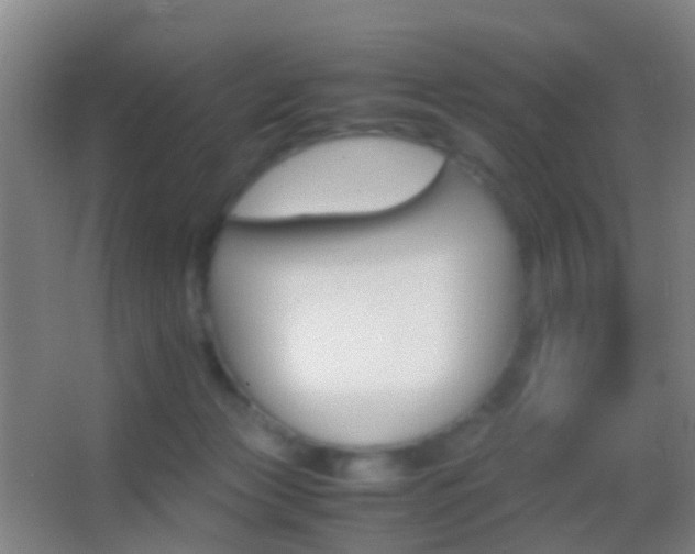 X0000062880173200601131318