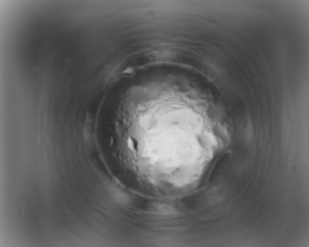 X0000062880181200601131318