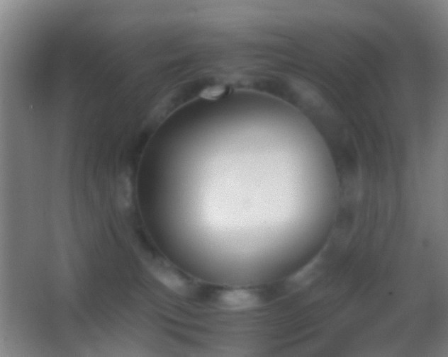 X0000062880183200601131318