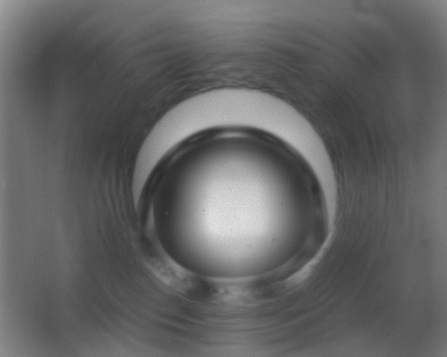 X0000062880186200601131318