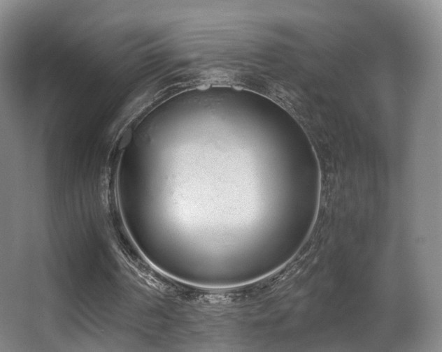 X0000062880194200601131317
