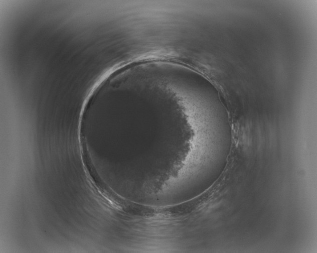 X0000062880196200601131317