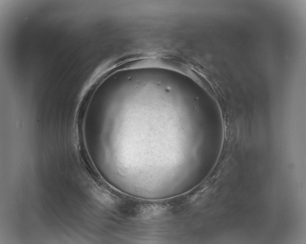 X0000062880198200601131317