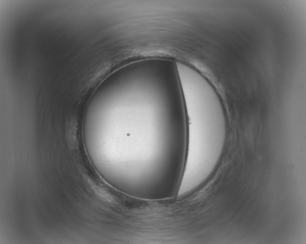 X0000062880201200601131317