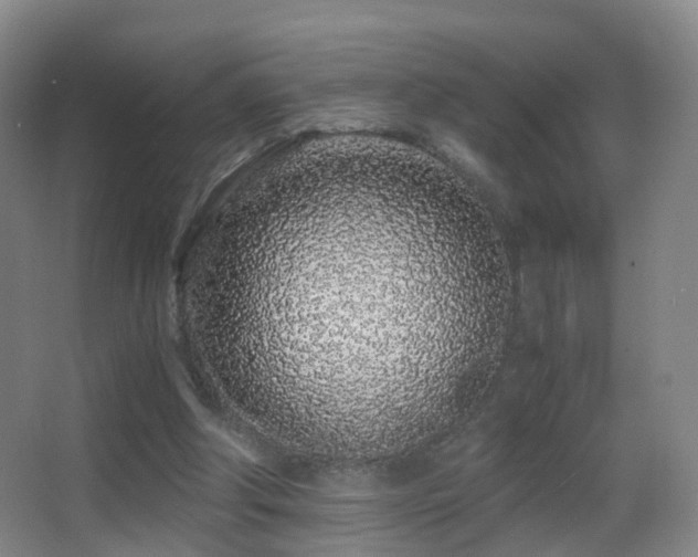 X0000062880202200601131317