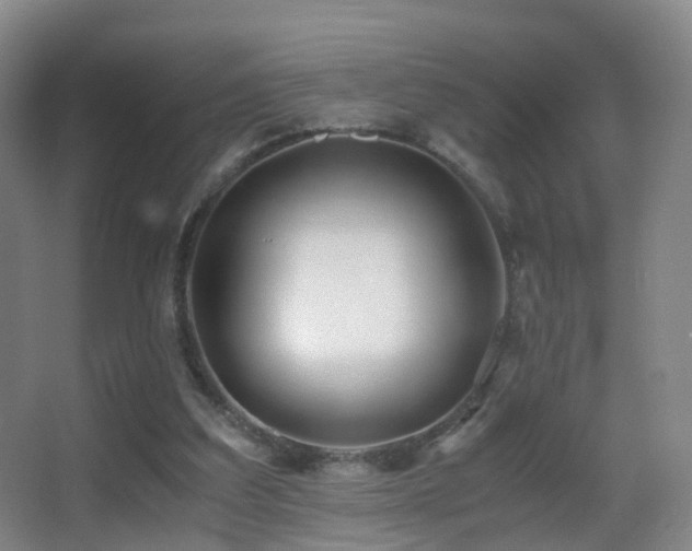 X0000062880203200601131317
