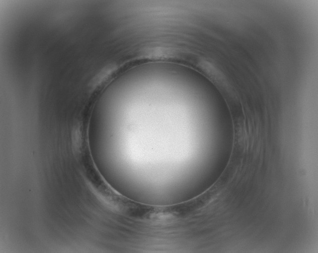 X0000062880208200601131317