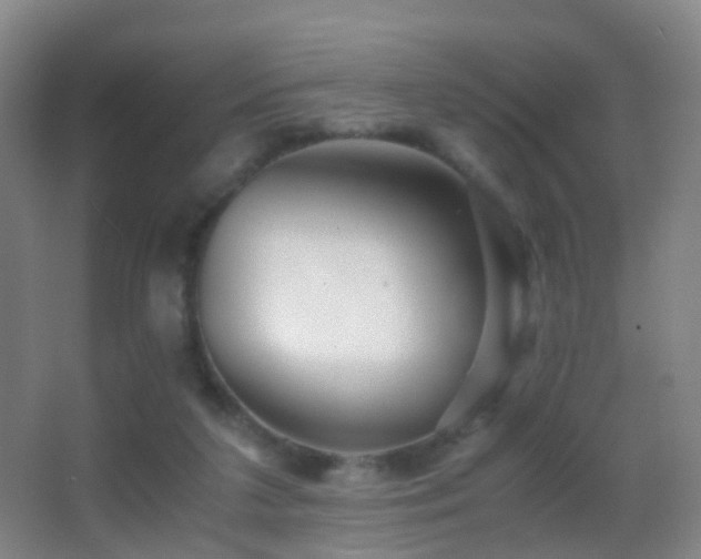 X0000062880211200601131317
