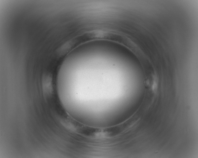 X0000062880216200601131317