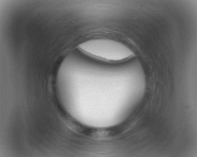 X0000062880217200601131317