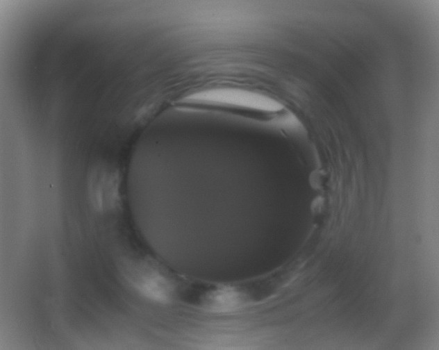 X0000062880219200601131317