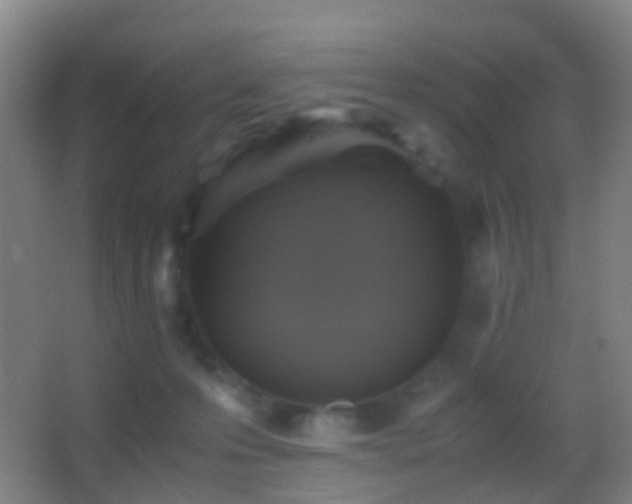 X0000062880223200601131317