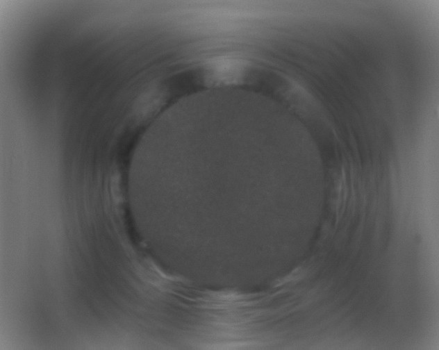 X0000062880224200601131317