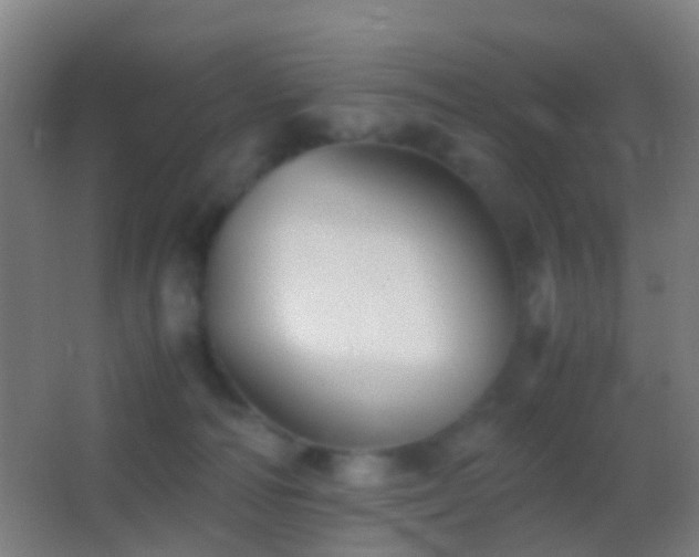 X0000062880226200601131317
