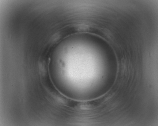 X0000062880228200601131317
