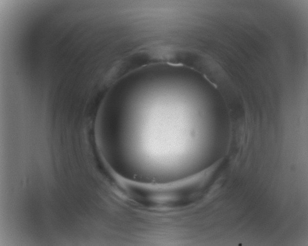 X0000062880229200601131317