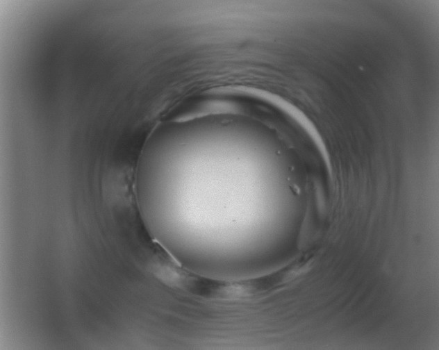 X0000062880237200601131316