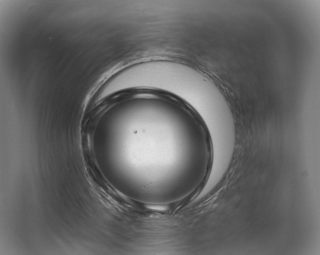 X0000062880244200601131316