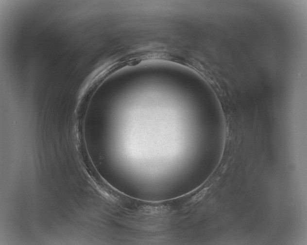 X0000062880245200601131316