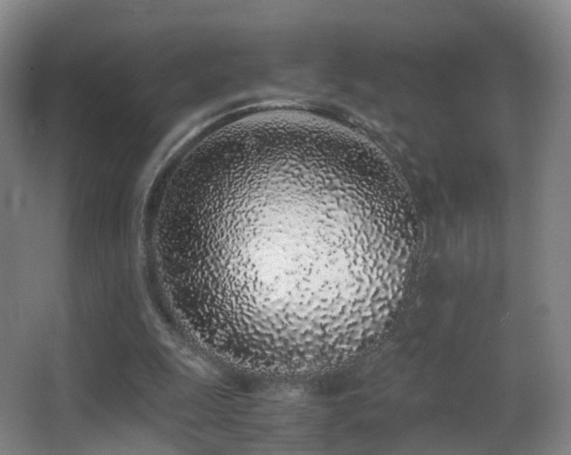 X0000062880247200601131316