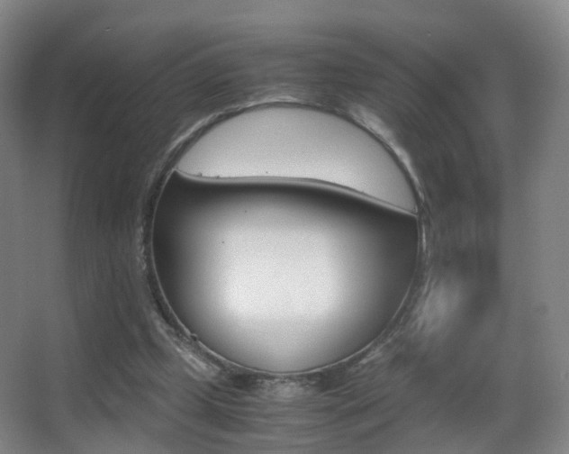 X0000062880249200601131316