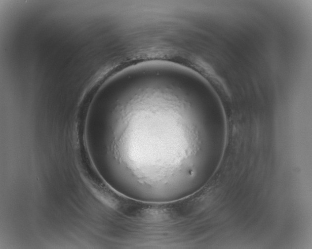 X0000062880250200601131316