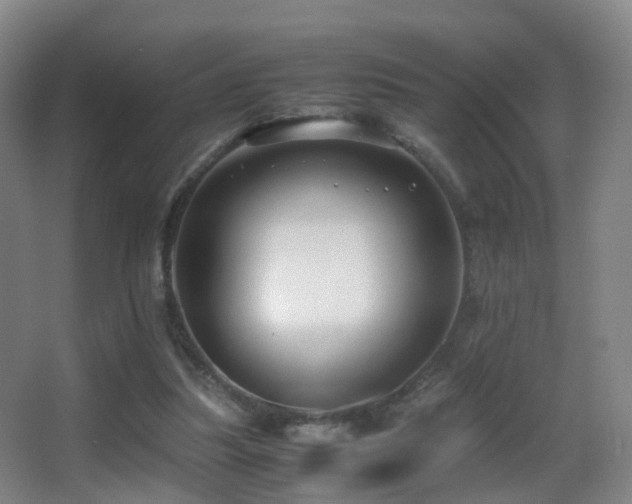 X0000062880251200601131316