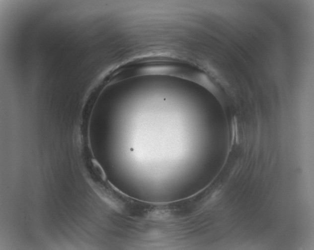 X0000062880252200601131316