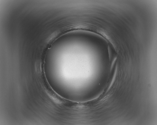 X0000062880253200601131316