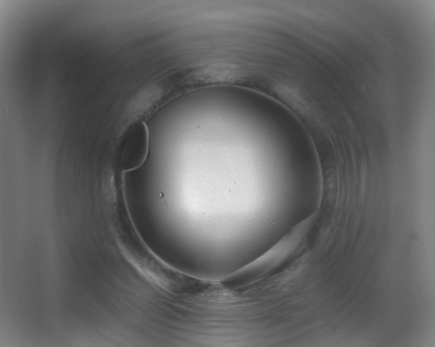 X0000062880254200601131316