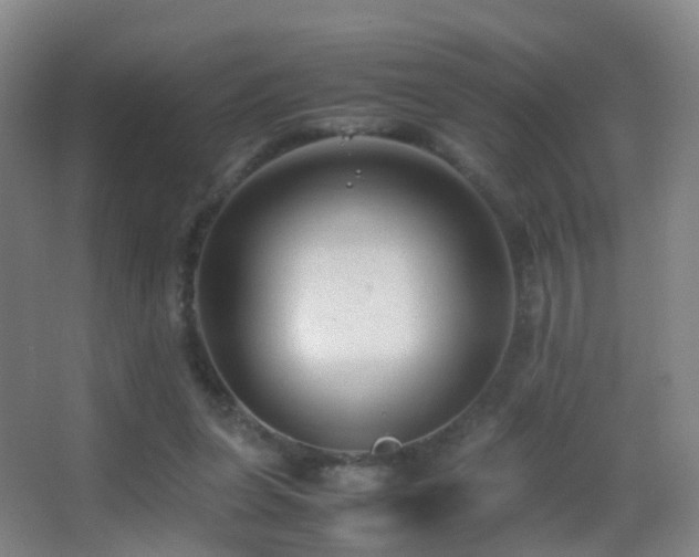 X0000062880255200601131316